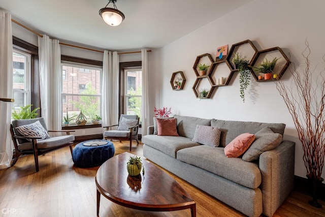 living room featuring hardwood / wood-style floors