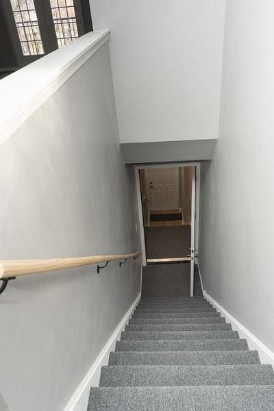 stairway with carpet floors