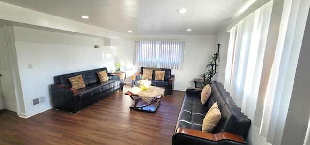 living room featuring dark hardwood / wood-style flooring