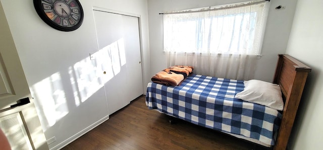 bedroom with a closet and dark wood-type flooring