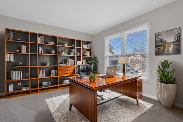 home office with carpet floors