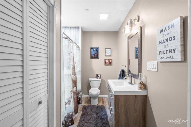 bathroom featuring vanity, toilet, and wood-type flooring