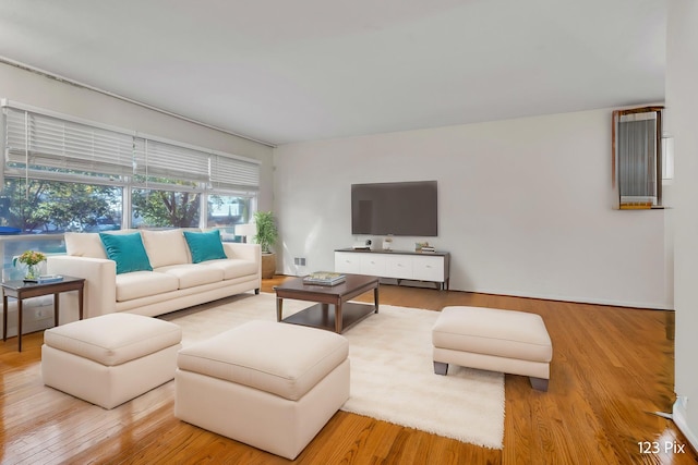 living room with hardwood / wood-style flooring