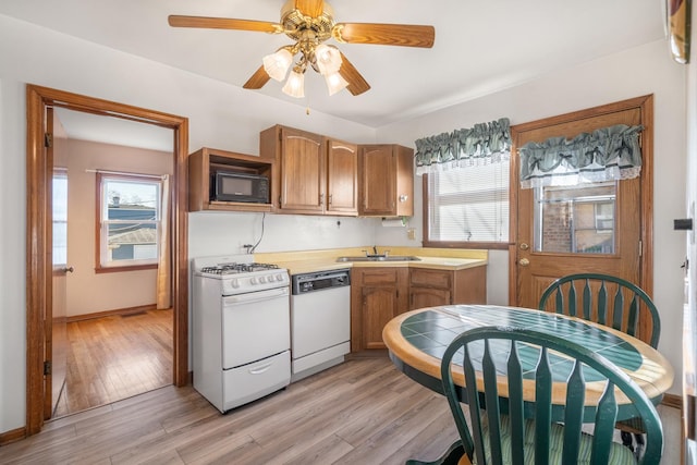 kitchen featuring plenty of natural light, light hardwood / wood-style floors, white appliances, and sink