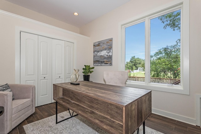 office area featuring dark hardwood / wood-style floors