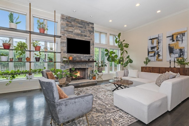 living room featuring a fireplace, dark hardwood / wood-style floors, and crown molding