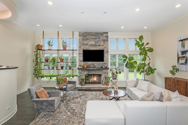 living room featuring hardwood / wood-style floors, a stone fireplace, and ornamental molding