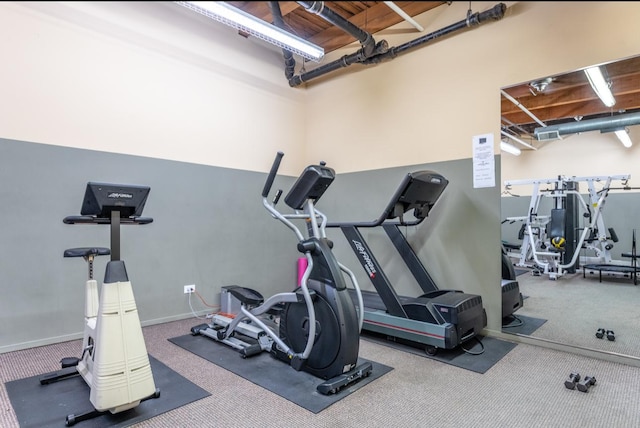 exercise area featuring carpet floors