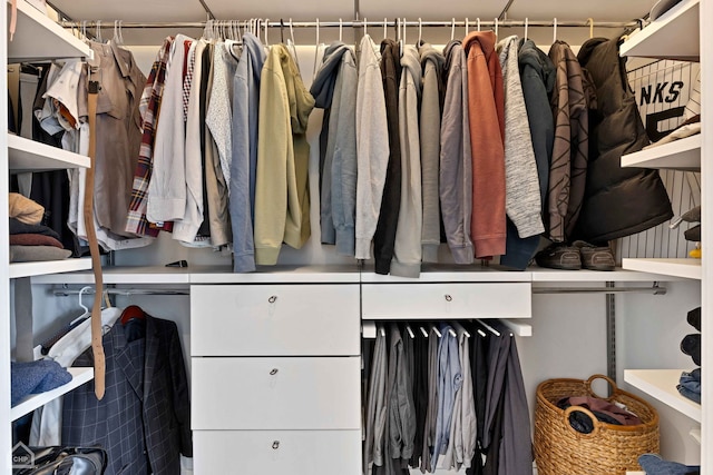 view of spacious closet