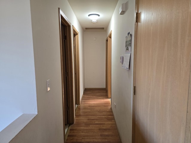 corridor featuring dark wood-type flooring