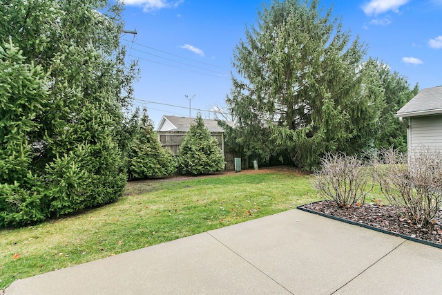 view of yard featuring a patio area