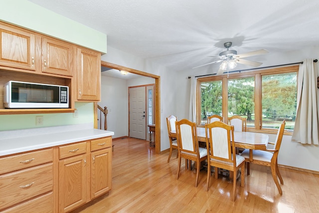 dining area featuring light hardwood / wood-style flooring and ceiling fan