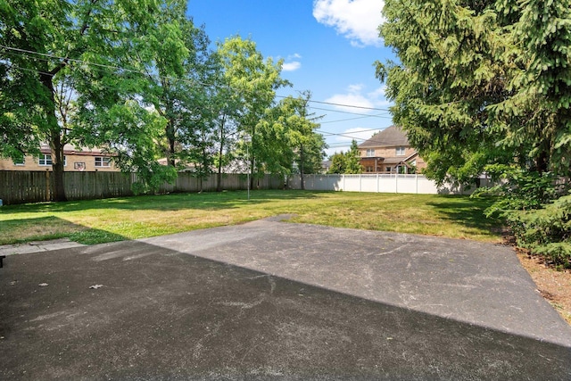 view of yard featuring a patio area