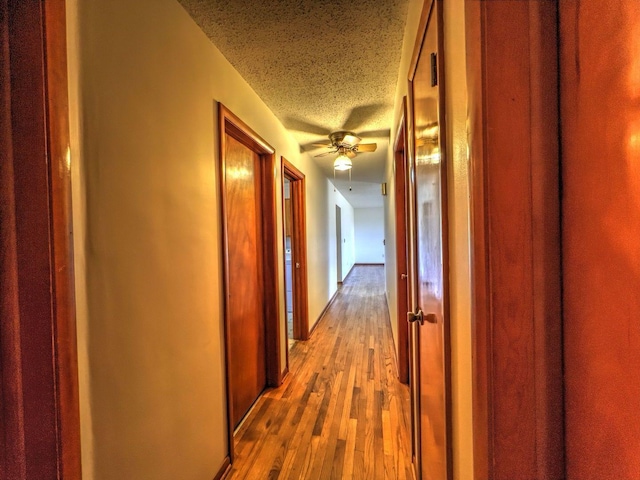 hallway with hardwood / wood-style floors and a textured ceiling