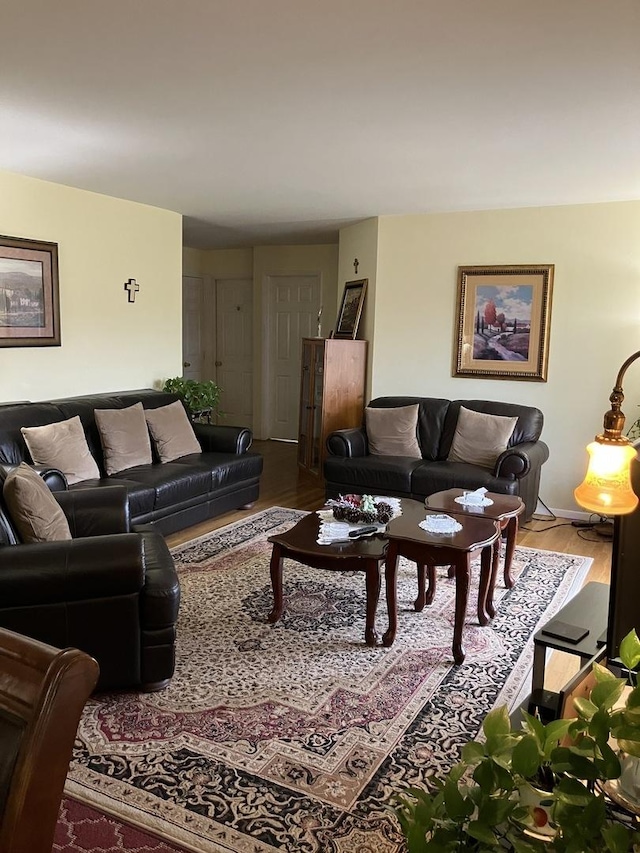 living room with hardwood / wood-style floors