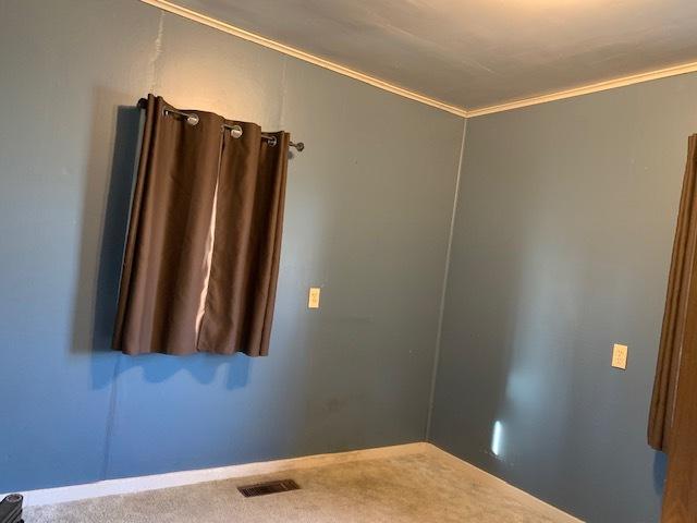 carpeted empty room featuring ornamental molding