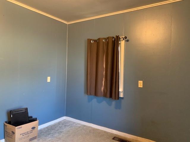 carpeted empty room featuring crown molding