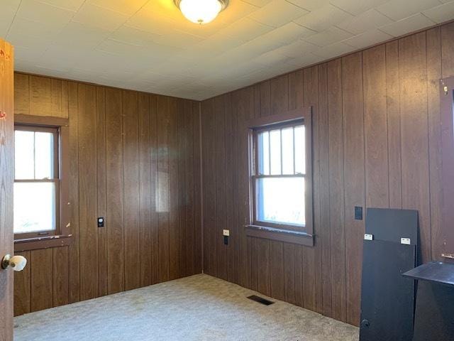 carpeted spare room featuring plenty of natural light and wooden walls