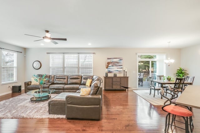 living room with ceiling fan with notable chandelier, dark wood-type flooring, and plenty of natural light