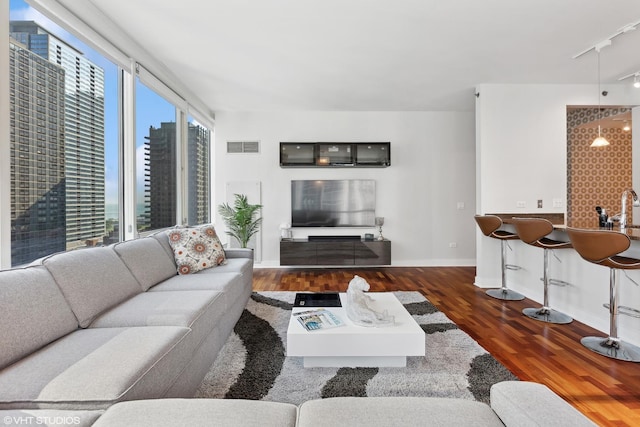 living room with dark hardwood / wood-style flooring, a healthy amount of sunlight, and sink