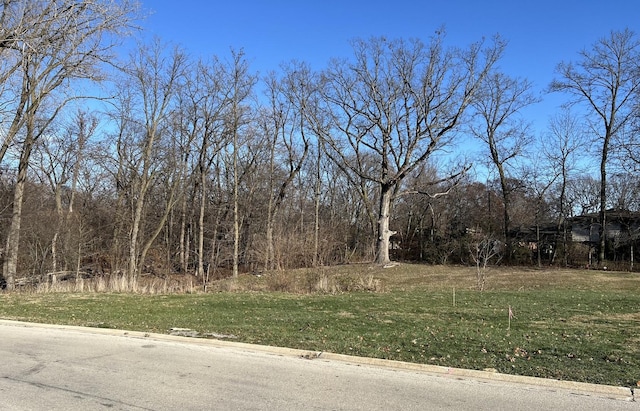 16961 Forest Glen Dr, Tinley Park IL, 60477 land for sale