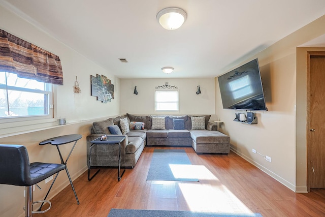 living room with wood-type flooring