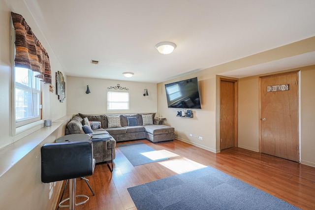 living room featuring wood-type flooring