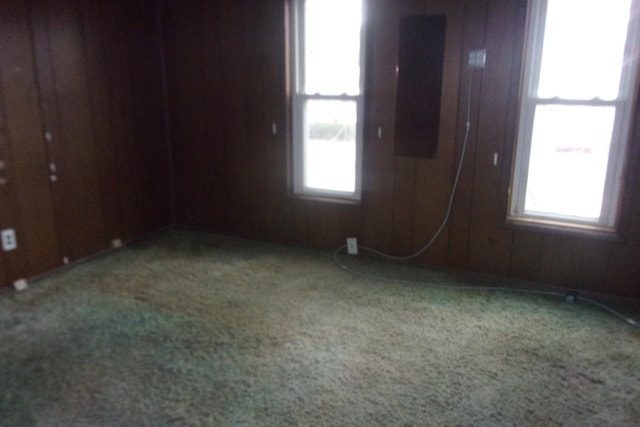 carpeted empty room with plenty of natural light