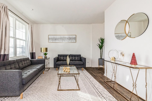 living room with wood-type flooring and plenty of natural light