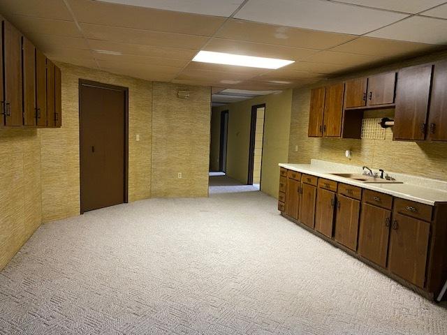 kitchen featuring dark brown cabinetry, sink, light colored carpet, and a drop ceiling