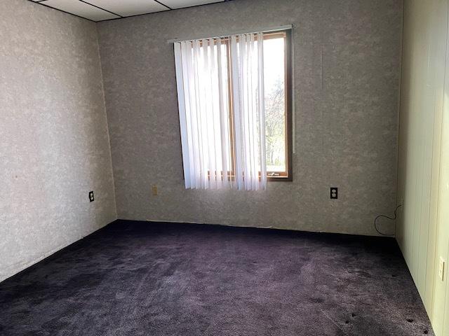 empty room with a wealth of natural light and dark carpet