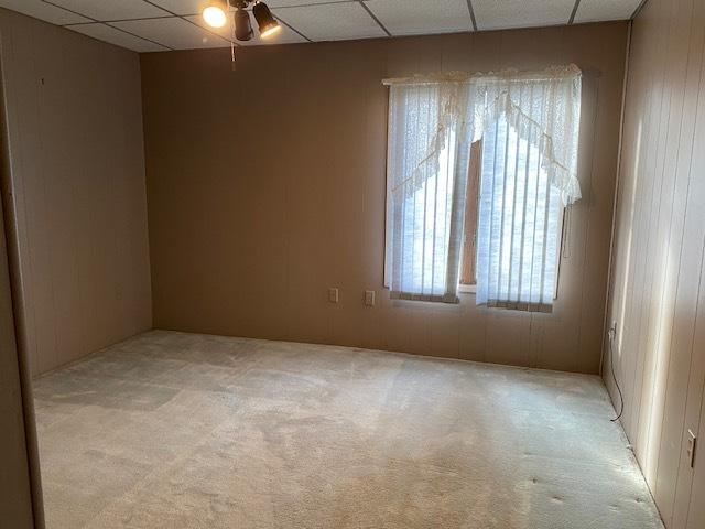 empty room featuring a paneled ceiling and light colored carpet