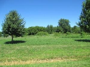 23787 W Reindeer Trl, Lake Villa IL, 60046 land for sale