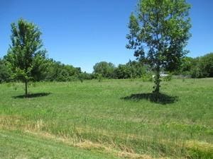 23787 W Reindeer Trl, Lake Villa, IL 60046 - photo 2