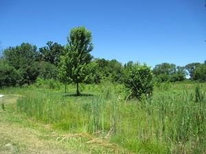23787 W Reindeer Trl, Lake Villa, IL 60046 - photo 3