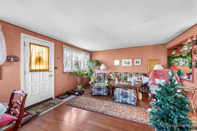 living room featuring hardwood / wood-style floors