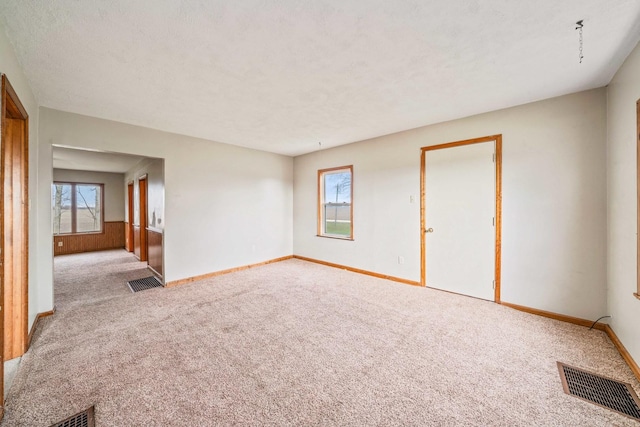 unfurnished room featuring a wealth of natural light, light carpet, and a textured ceiling