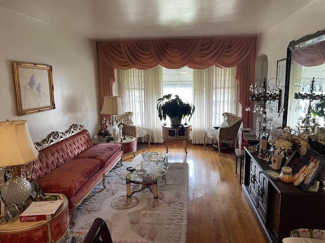 living room featuring hardwood / wood-style flooring