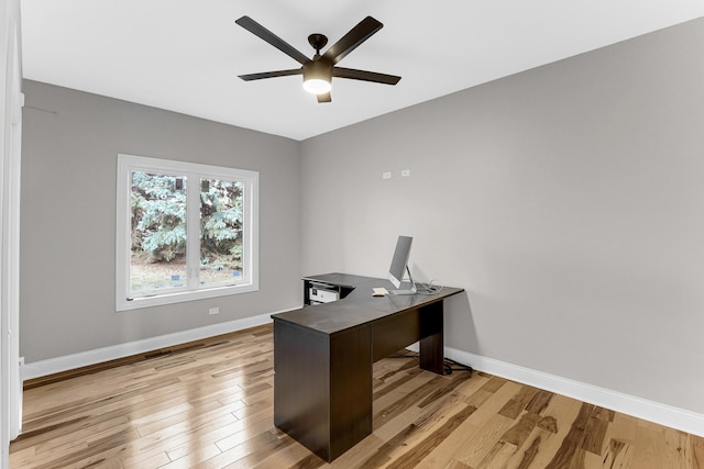 office space with ceiling fan and light wood-type flooring