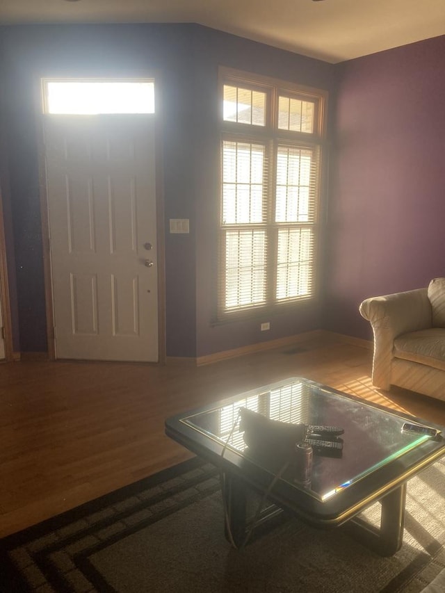 entrance foyer featuring hardwood / wood-style flooring