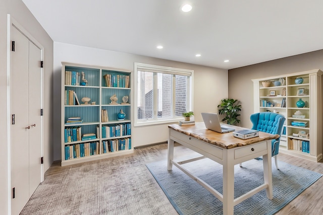 office featuring wood-type flooring