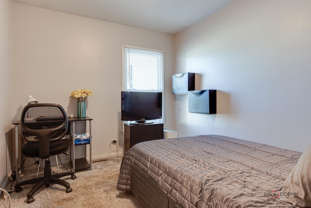 view of carpeted bedroom