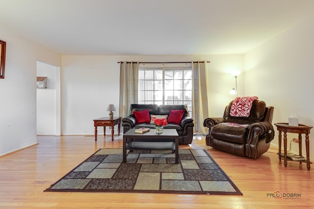 living room with hardwood / wood-style flooring