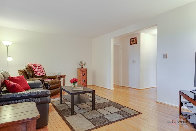 living room featuring light hardwood / wood-style floors