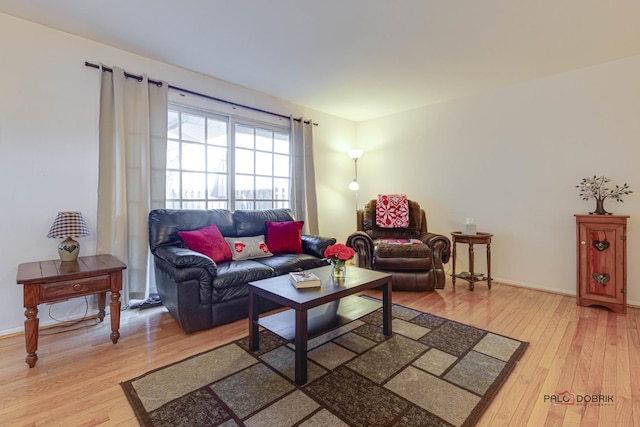 living room with hardwood / wood-style flooring