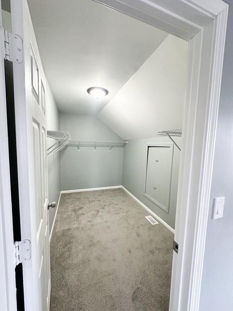 spacious closet with carpet and vaulted ceiling