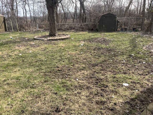 view of yard with a storage shed