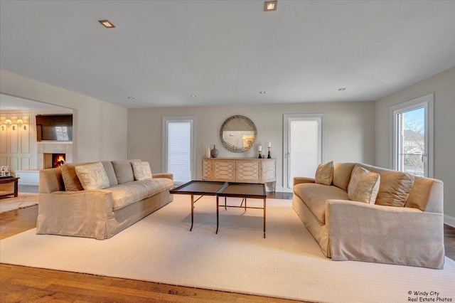 living room with hardwood / wood-style floors