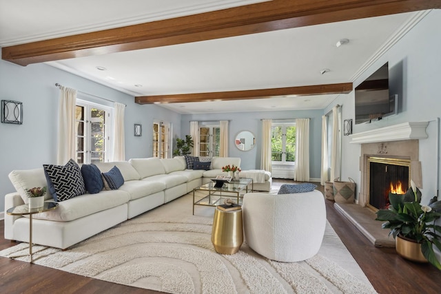 living room featuring dark hardwood / wood-style floors and a fireplace