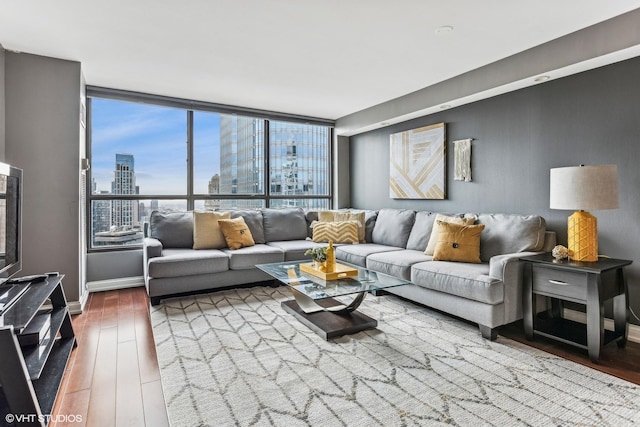 living room featuring a view of city, baseboards, and wood finished floors